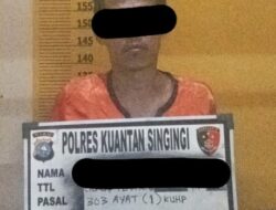 Polisi Tangkap Pelaku Judi Online Jenis Higgs Domino di Desa Suka Damai