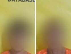Curi Sawit di Perkebunan Warga, Pelaku dan Penadah Ditangkap Polisi