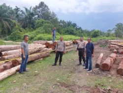 Amankan 215 Kayu Ilegal di Kuntu Darussalam, Polisi Buru Pelaku