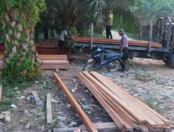 Polisi Amankan 1158 Kayu Olahan Hasil Illegal Logging