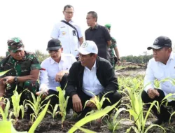 Berkunjung ke Palangka Raya, Wamenhan M. Herindra Tinjau Lokasi Food Estate