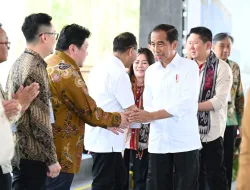 Presiden Jokowi Sambut Baik Kontribusi Investor Lokal dalam Pembangunan IKN