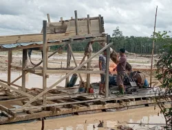 Polsek Benai Lakukan Operasi Penertiban PETI di Desa Gunung Kesiangan