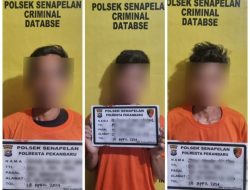 3 Maling Nekat Curi Pagar Besi Klinik Polresta Pekanbaru