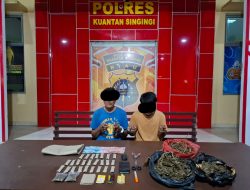 Tim Mata Elang Sat Res Narkoba Polres Kuansing Berhasil Ungkap Peredaran Narkotika Jenis Ganja Kering Sebanyak 520 Gram dari Seorang Residivis Narkoba.