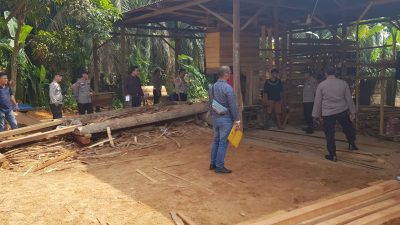Terkait Pemberitaan Ilegal Logging, Polisi Amankan 4 TKP di Kecamatan Siak Hulu