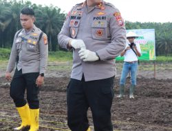 Dukung Program Asta Cita, Polres Pelalawan Bersama PT ADEI Lakukan Penanaman Jagung Serentak