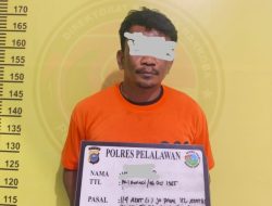Sita 8 Paket Sabu Siap Edar, Satresnarkoba Polres Pelalawan Grebek Rumah di Jalan Lintas Timur KM 83 Desa Kemang