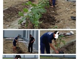 Lapas Kelas IIA Kumbang Luncurkan Pembinaan Kemandirian Bidang Pertanian