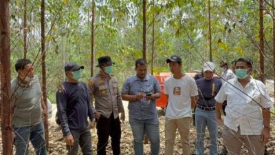 Polsek Singingi Hilir Tangani Penemuan Kerangka Manusia di Areal PT RAPP