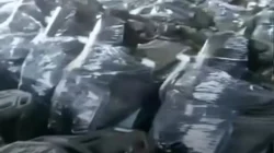 Soal Motor Berlogo BGN, Kepala BGN: “Pengadaan Masuk Anggaran 2025 dan Belum Dibagikan