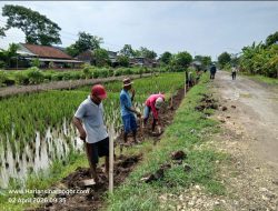 PEMERINTAHAN KABUPATEN CILACAP GELAR PEKERJAAN PENINGKATAN JALAN GANDRUNG MANIS, ANGGARAN LEBIH DARI 8 MILYAR RUPIAH