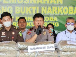 Berantas Narkoba, Wakapolres Kuansing Pimpin Pemusnahan 17,7 Kg Ganja