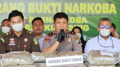 Berantas Narkoba, Wakapolres Kuansing Pimpin Pemusnahan 17,7 Kg Ganja